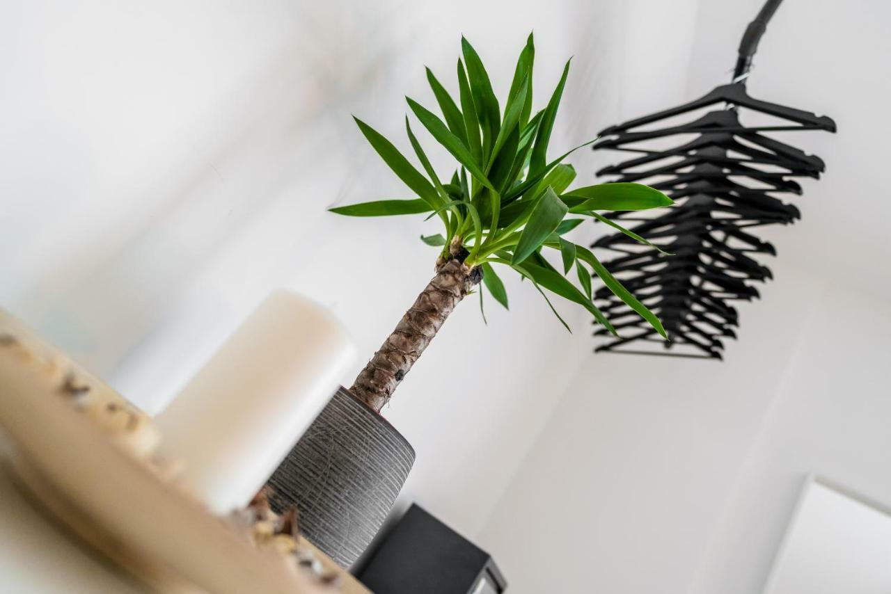 Centerapartments Marienstrasse Ντίσελντορφ Εξωτερικό φωτογραφία